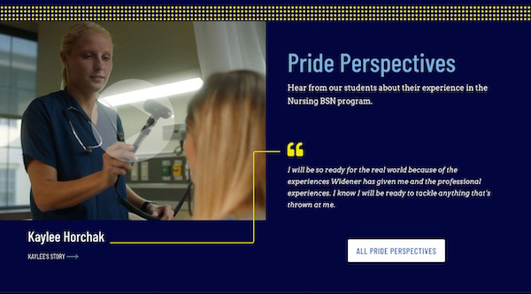 screenshot of a Pride Perspective feature